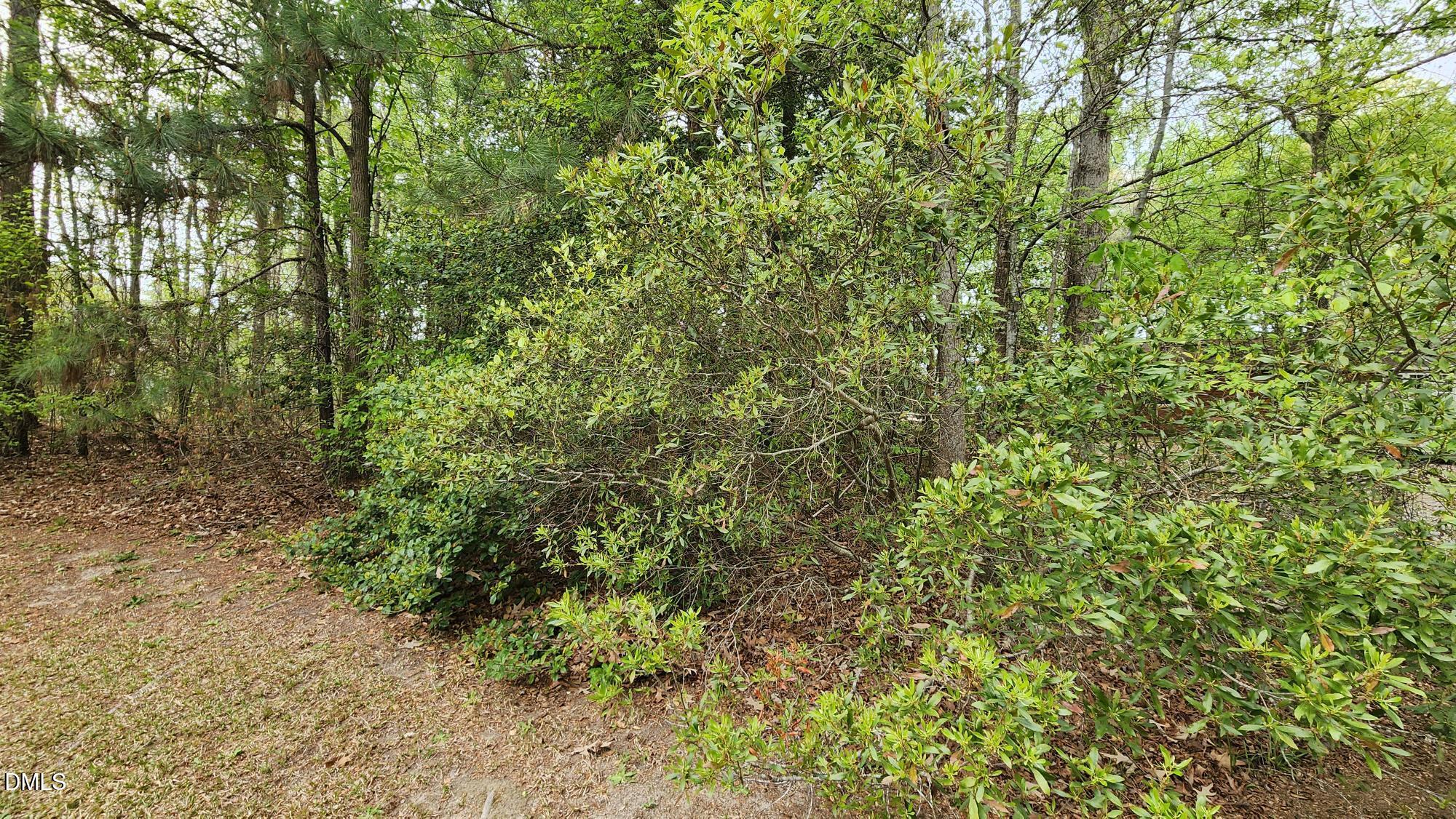 126 W Silver Belle Drive Property Photo 5