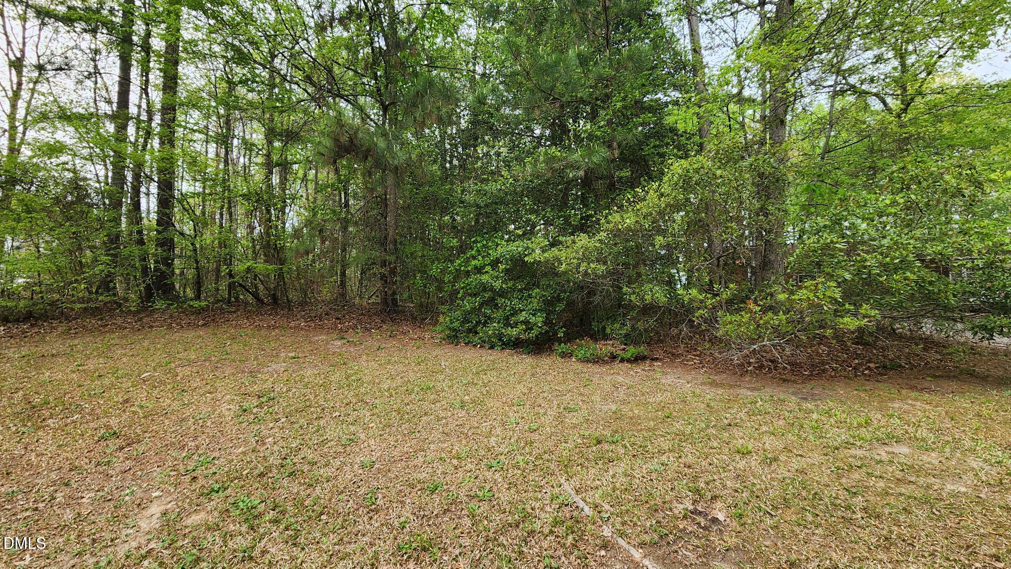 126 W Silver Belle Drive Property Photo 6