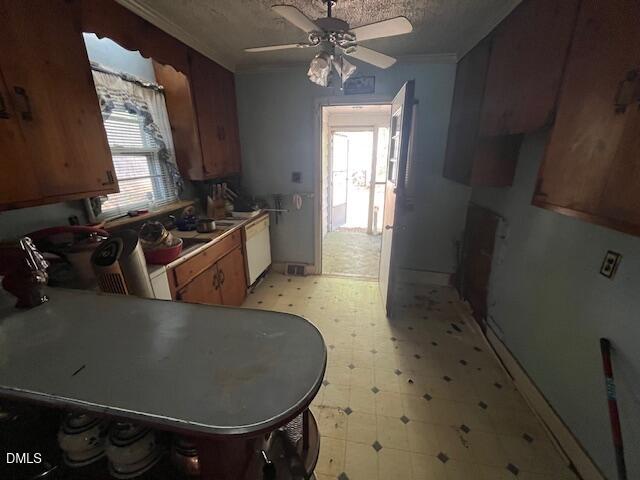 409 Edward Street Property Photo 9