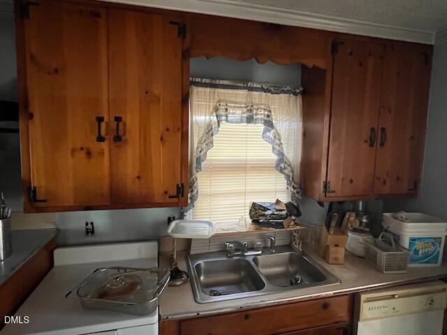 409 Edward Street Property Photo 11
