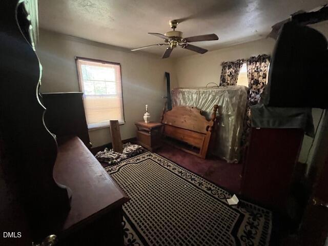 409 Edward Street Property Photo 14