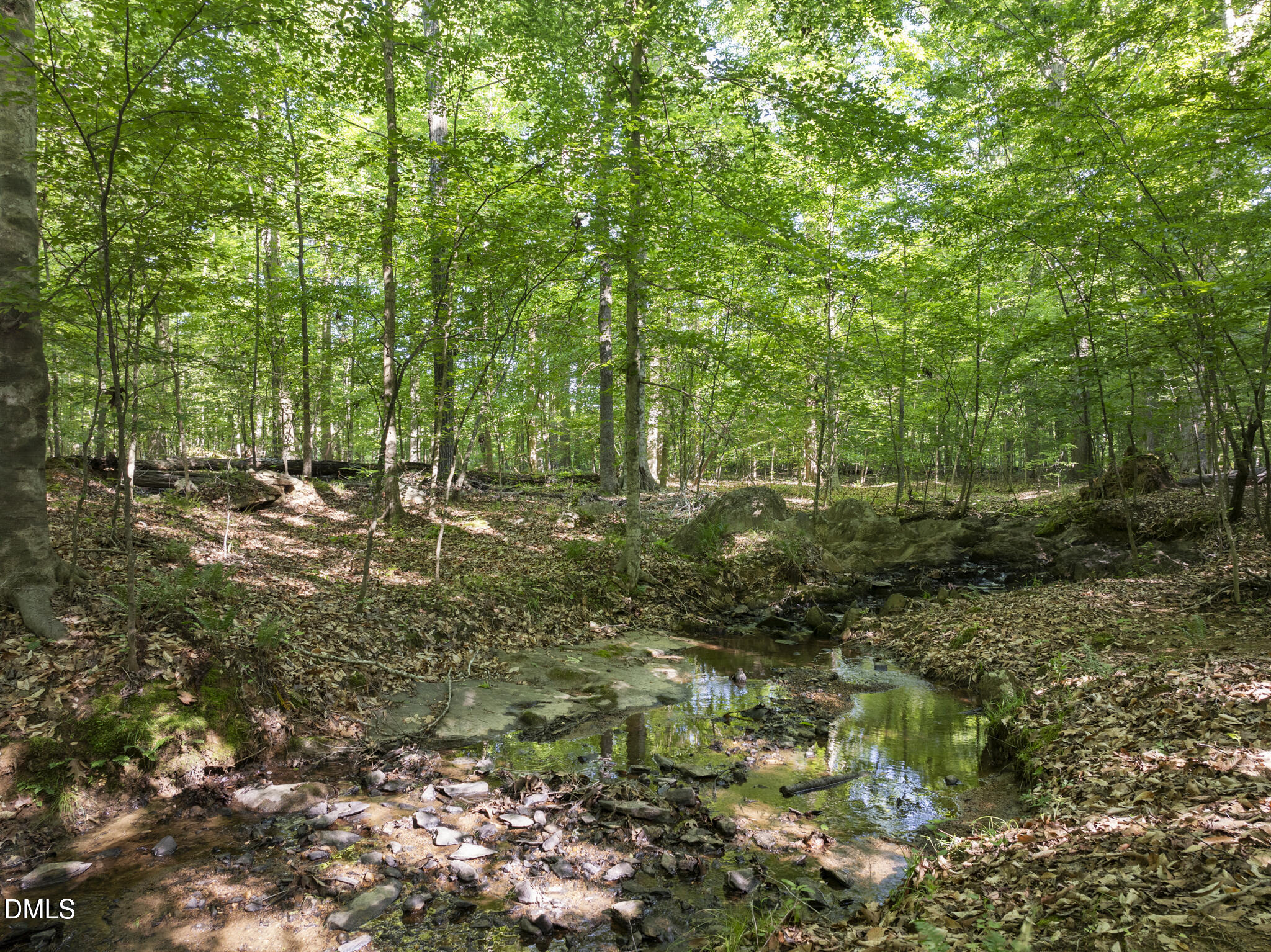 5500 N Carolina 86 (lot 2) Property Photo 5