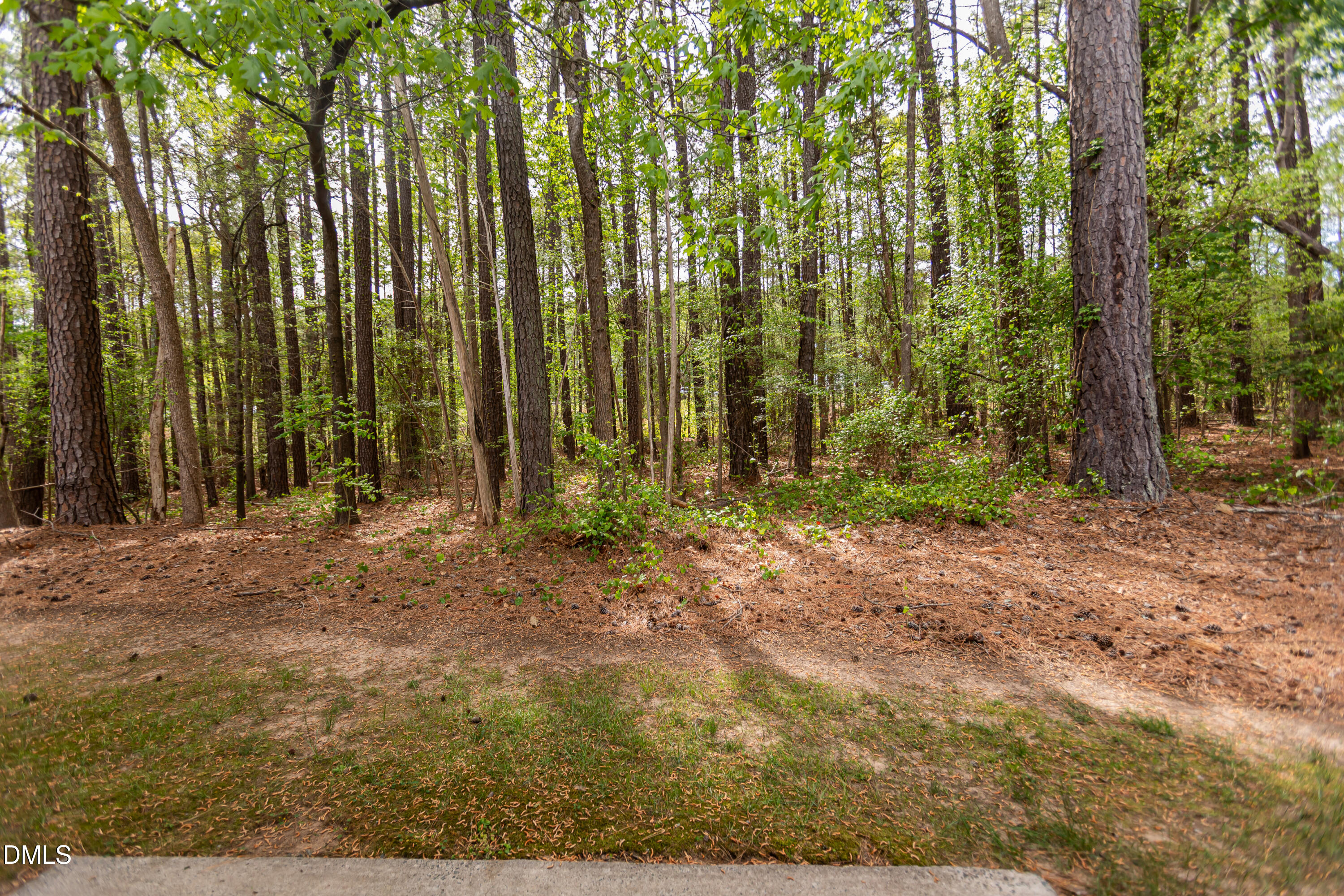 4314 Pin Oak Drive Property Photo 42