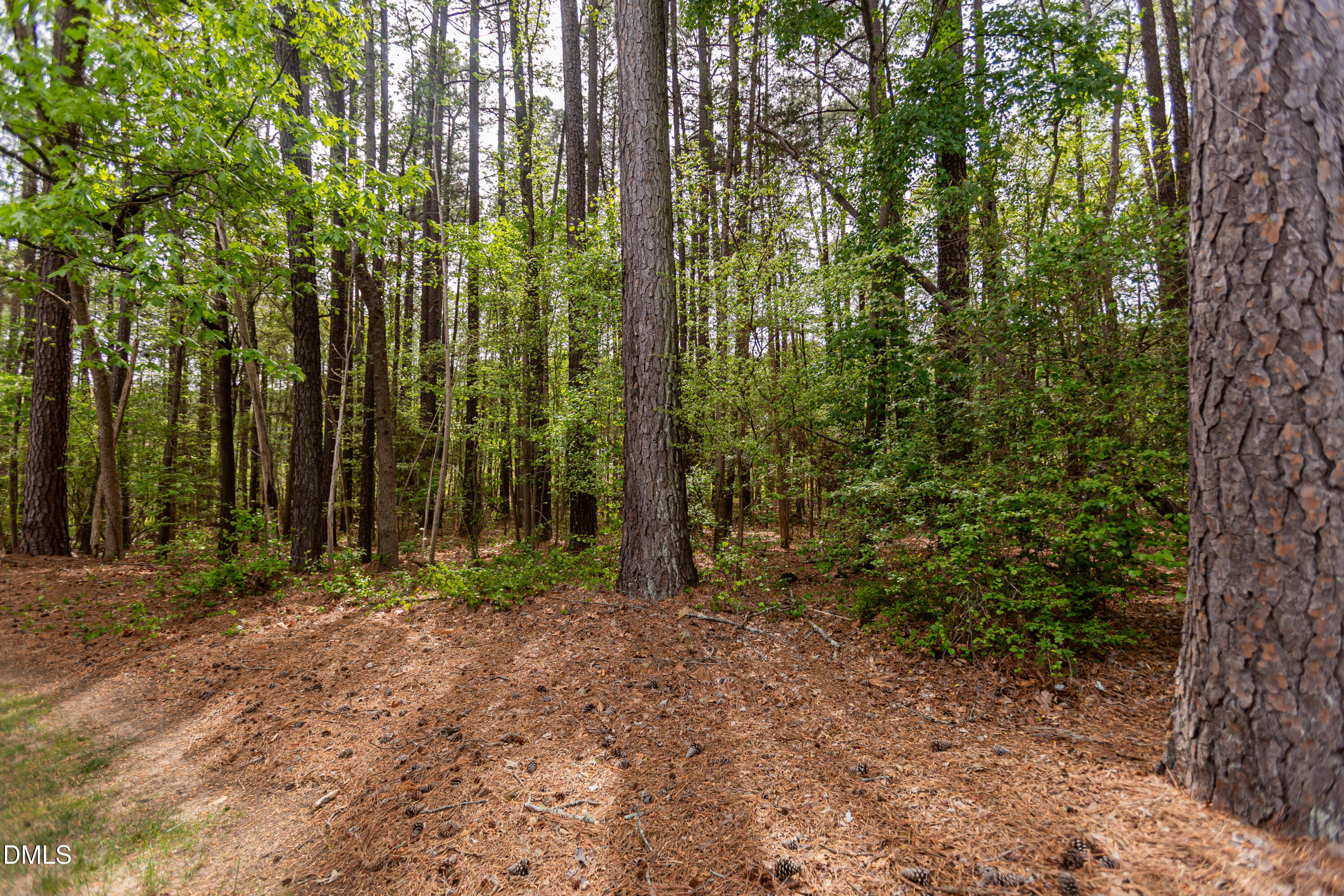 4314 Pin Oak Drive Property Photo 43