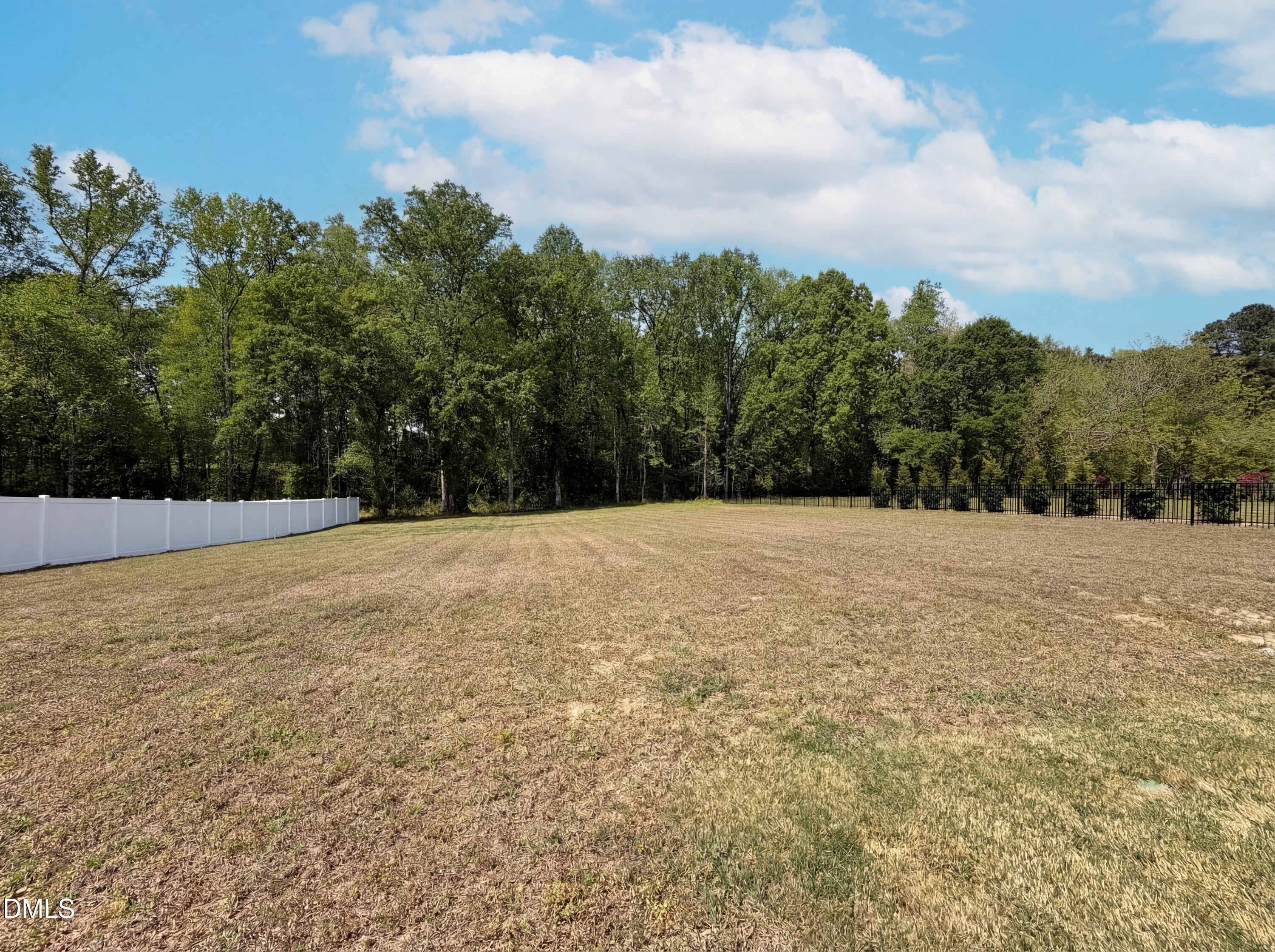 1717 Willow Landing Way Property Photo 19