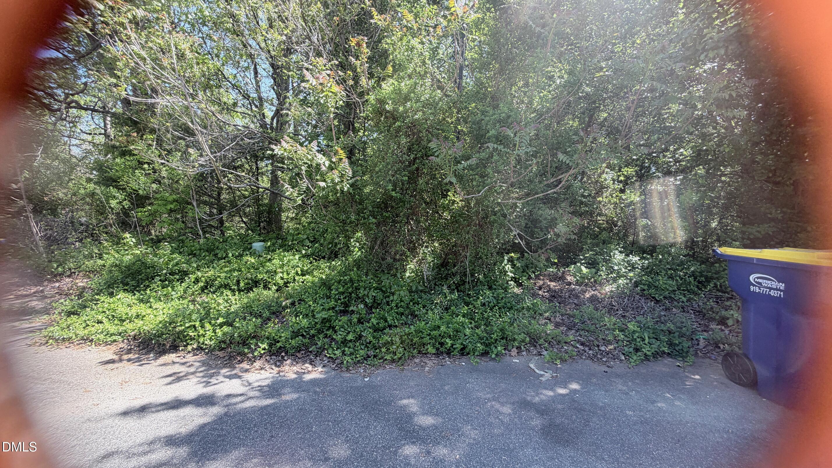 1705 Wind Sound Way Property Photo 1