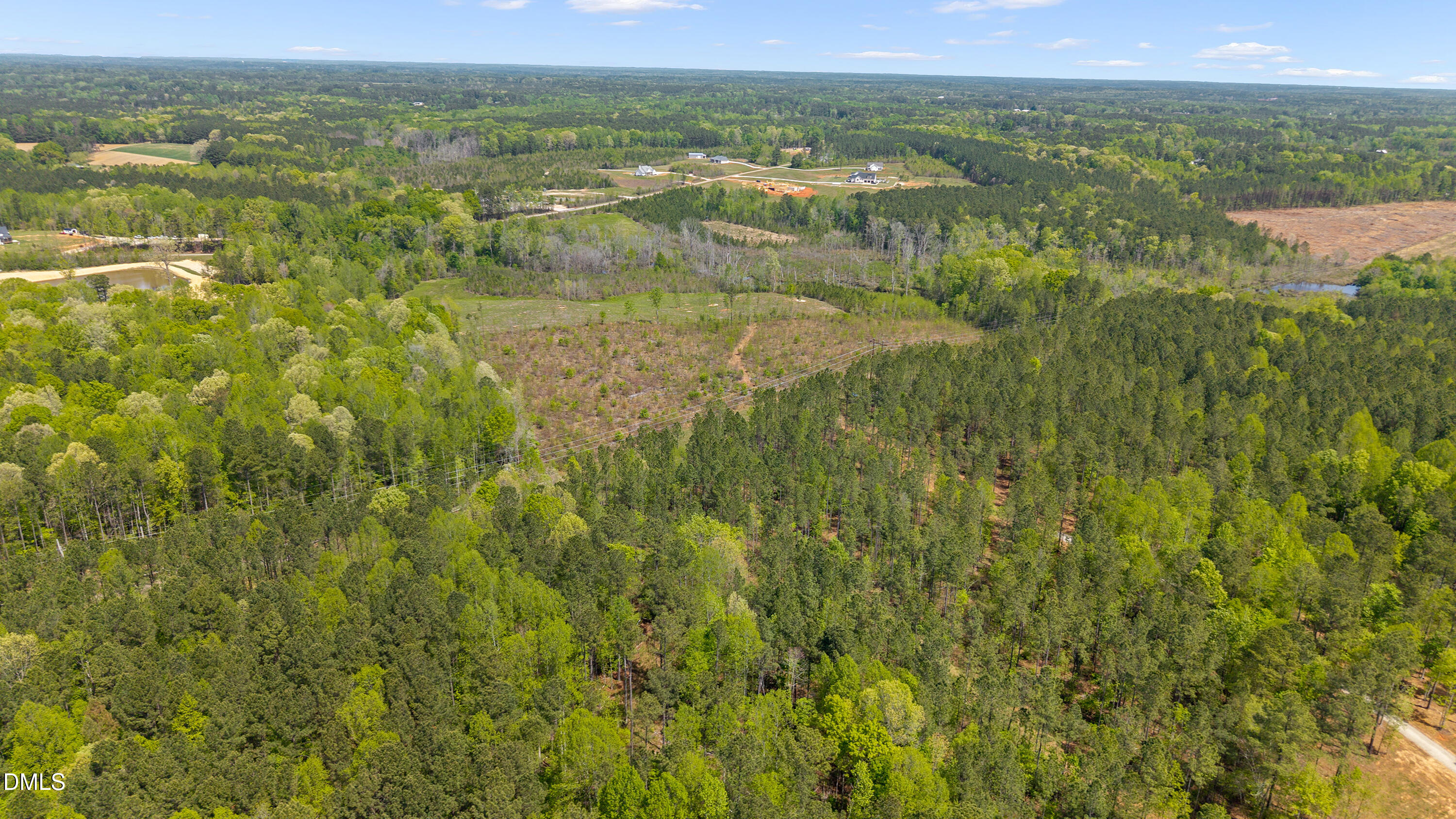 11.54 Acre Social Plain Road Property Photo 7