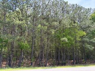 6901 Us Hwy 701 S Property Photo 4