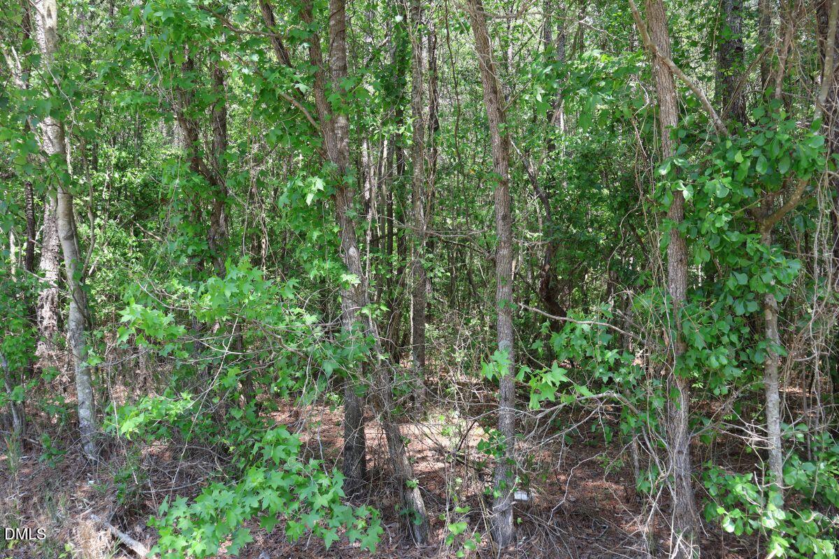 6901 Us Hwy 701 S Property Photo 7