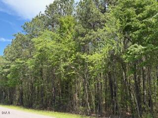 6901 Us Hwy 701 S Property Photo 19