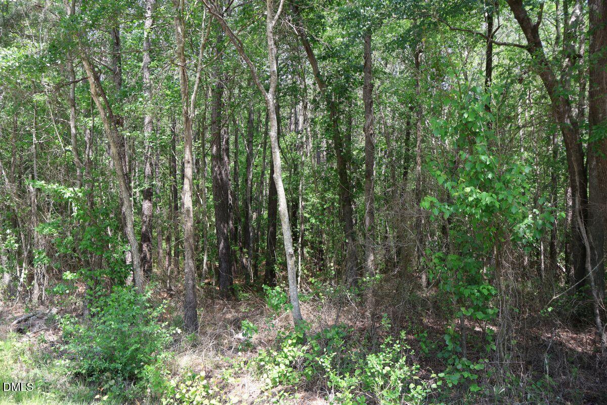 6901 Us Hwy 701 S Property Photo 27
