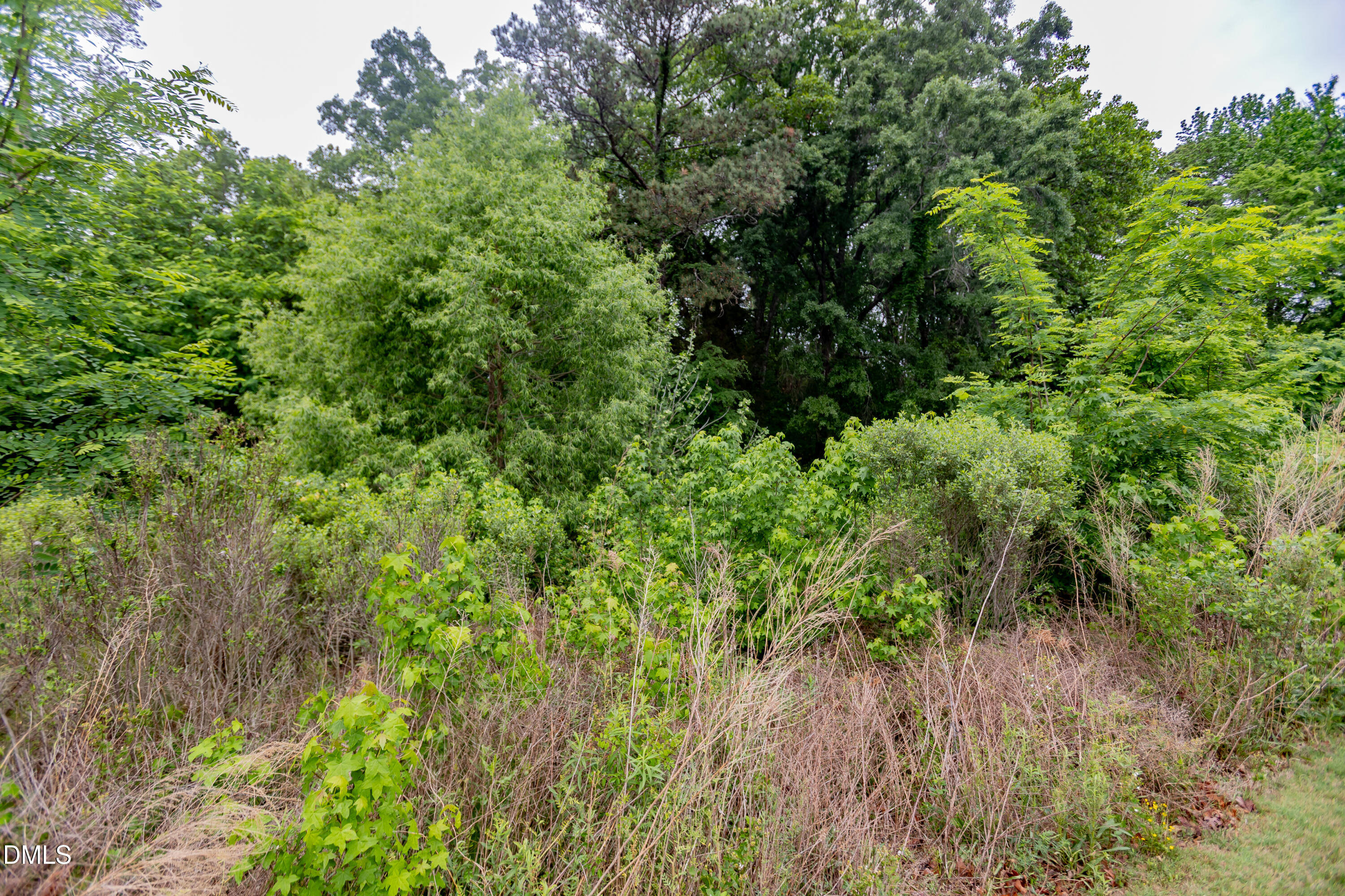 1048 Arbor Edge Lane Property Photo 51