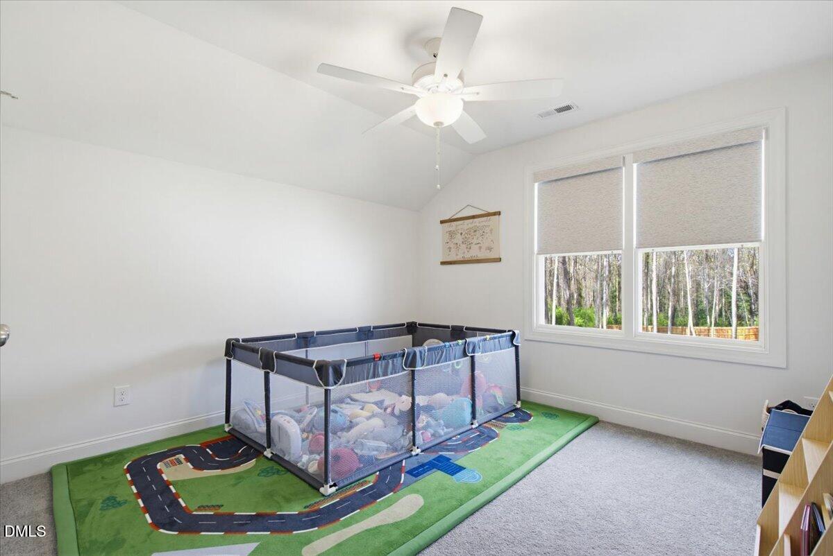 111 Valleydale Drive Property Photo 61