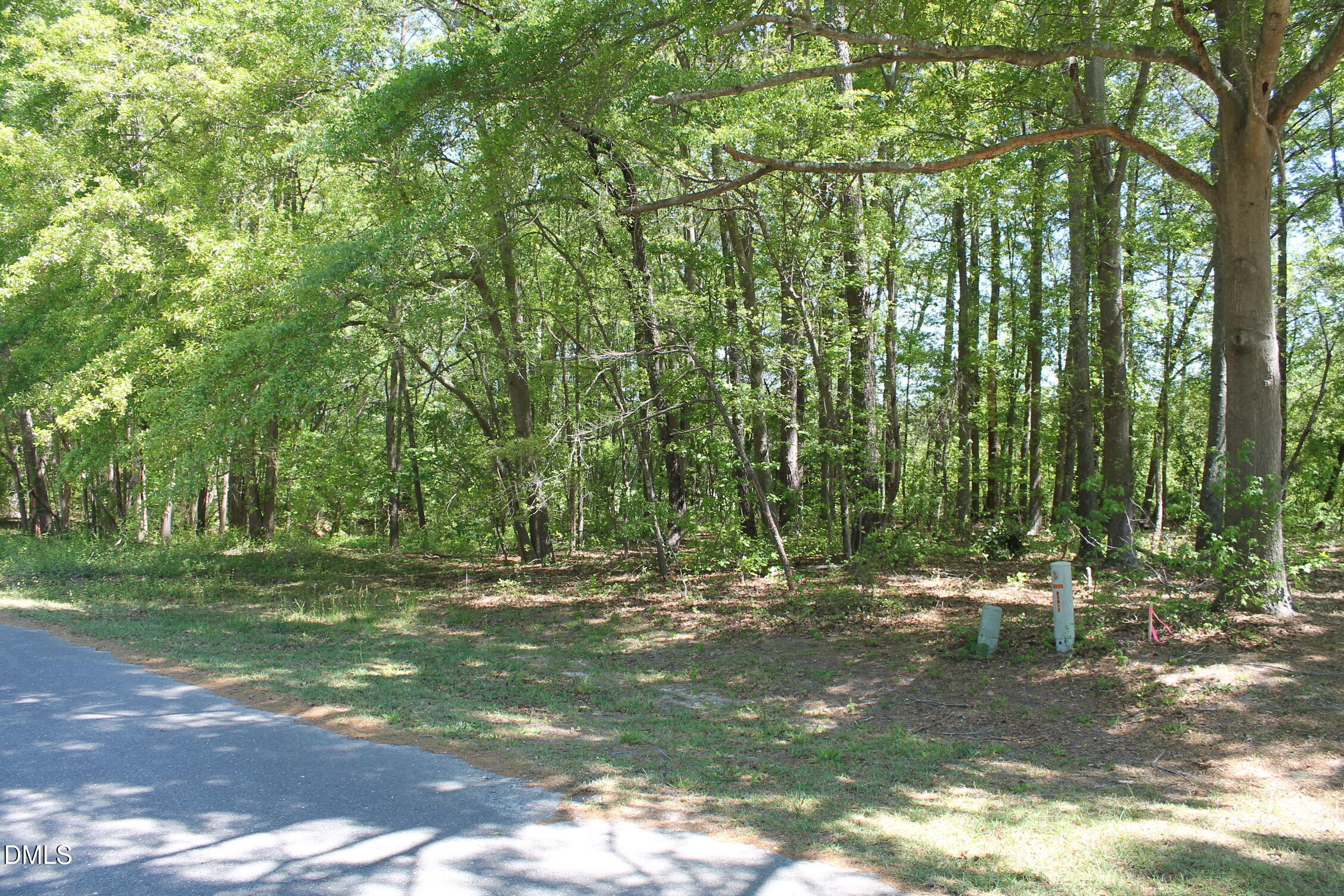 355 Quail Road Property Photo 3
