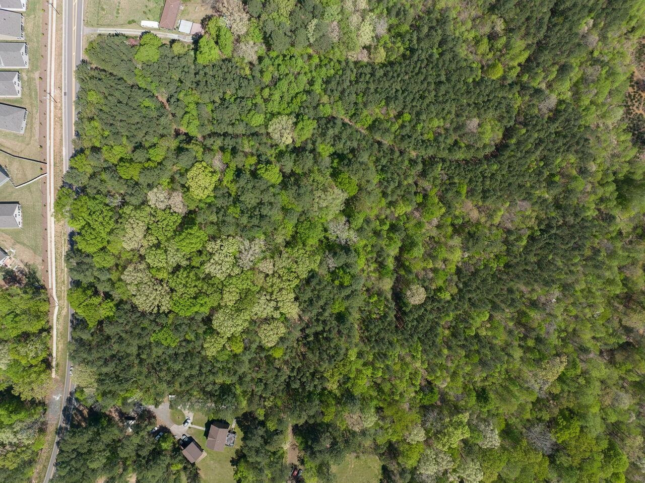 1301 Doc Nichols Road Property Photo 4