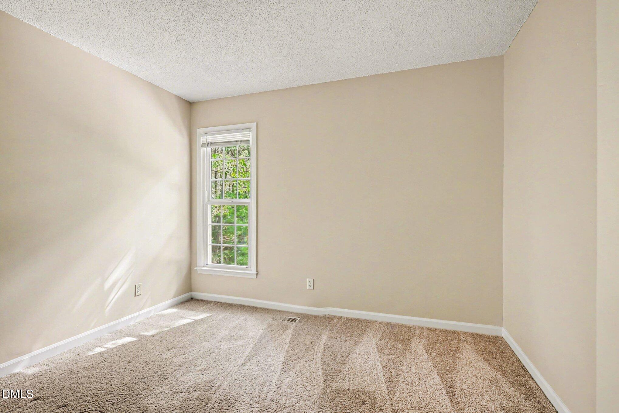 4009 Olde Coach Road Property Photo 18