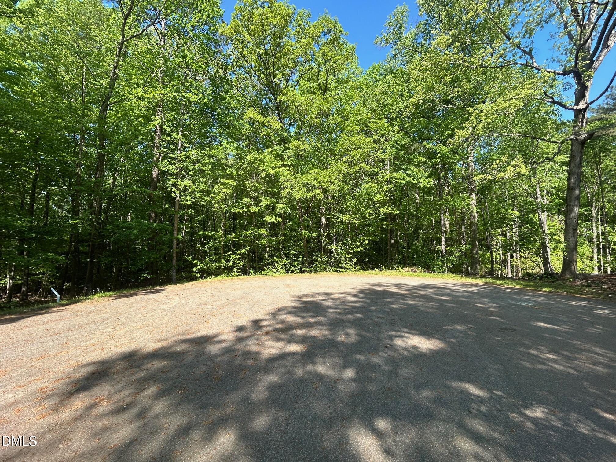 134 Red Dog Drive Property Photo 1