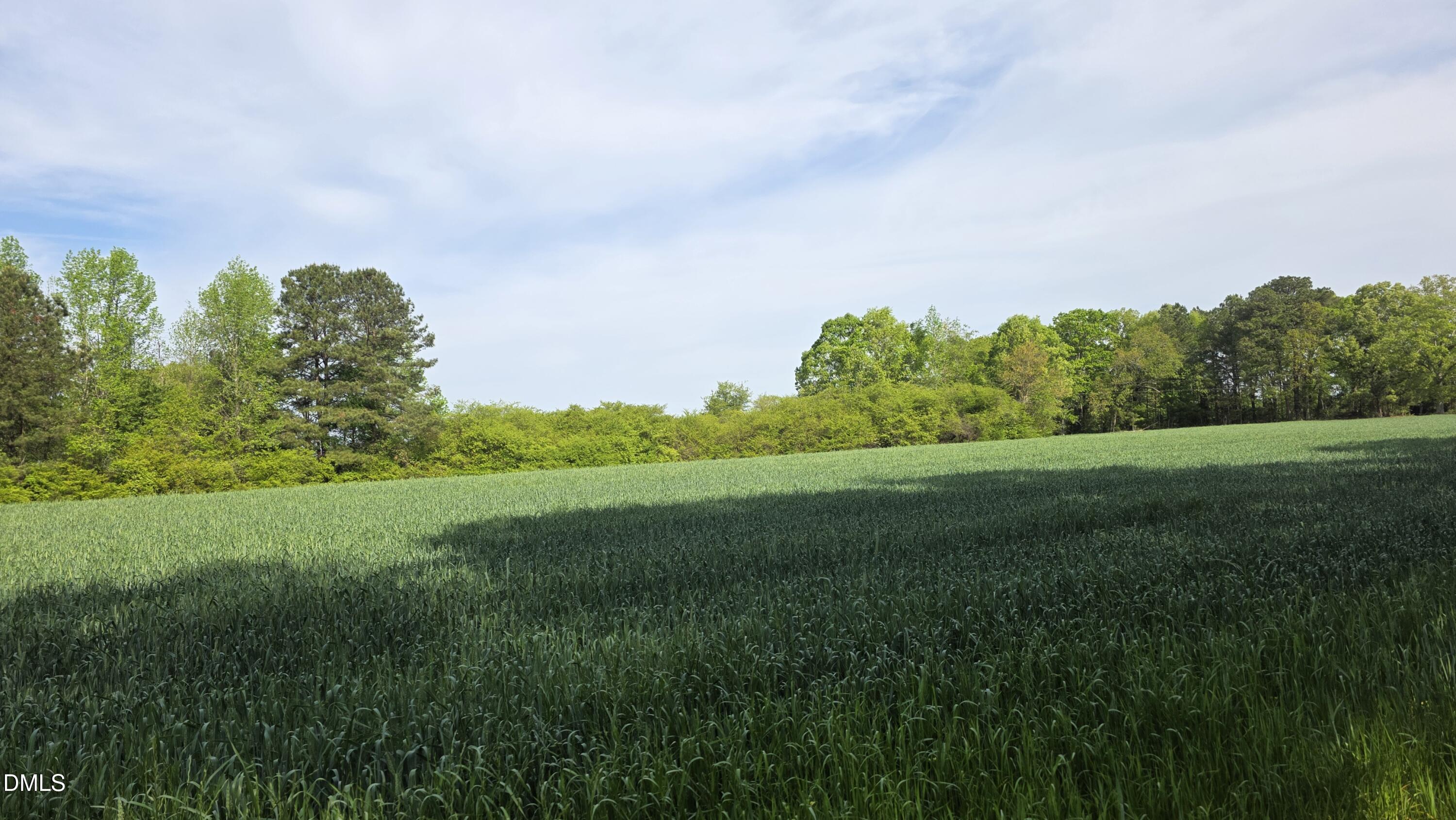 294 Hight Road Property Photo
