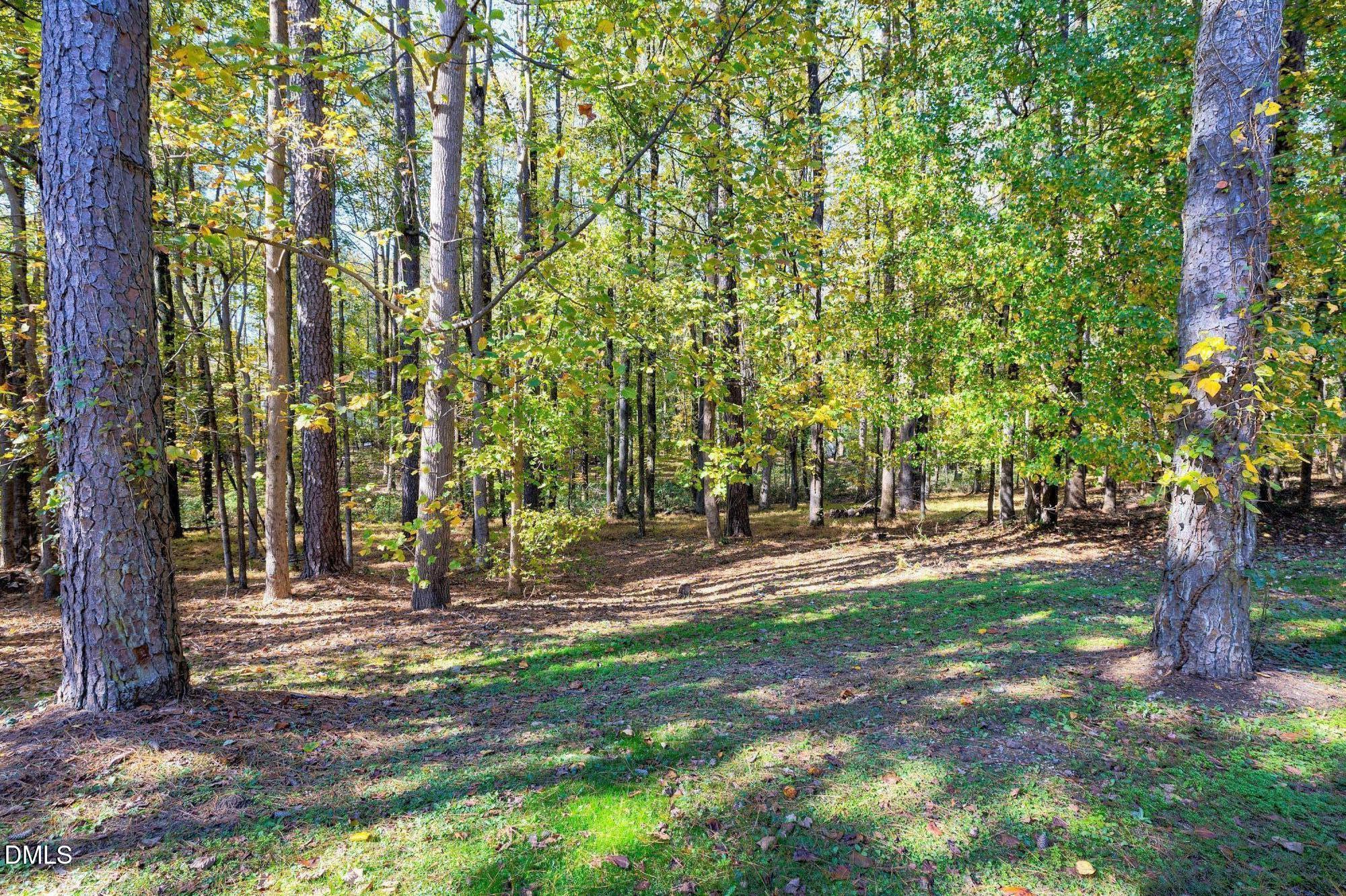 3732 Westbury Lake Drive Property Photo 41