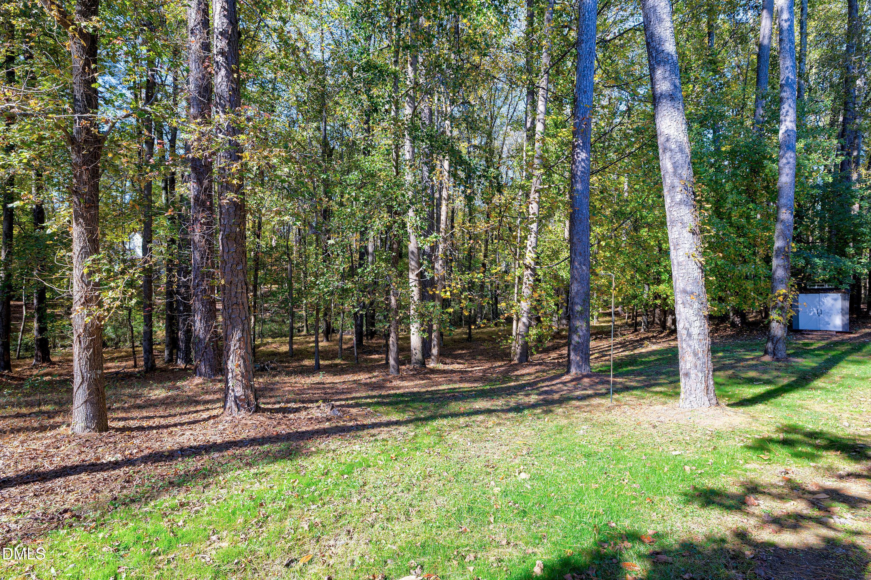 3732 Westbury Lake Drive Property Photo 42