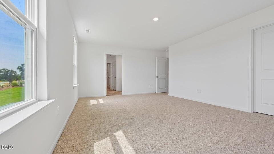 721 Sparkling Pear Drive Property Photo 19