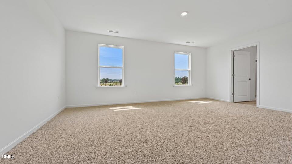 721 Sparkling Pear Drive Property Photo 20