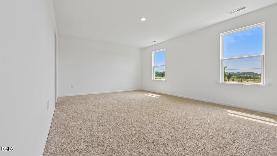 721 Sparkling Pear Drive Property Photo 21