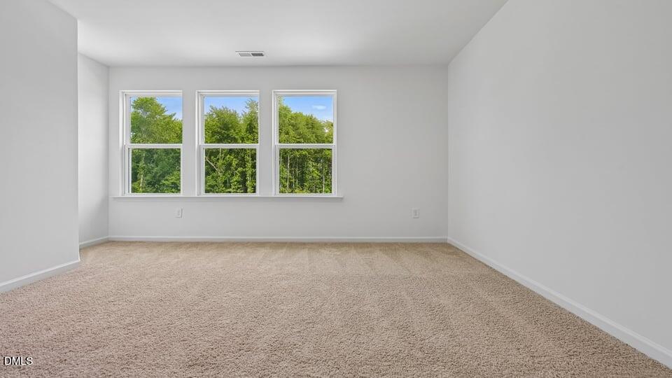 721 Sparkling Pear Drive Property Photo 26