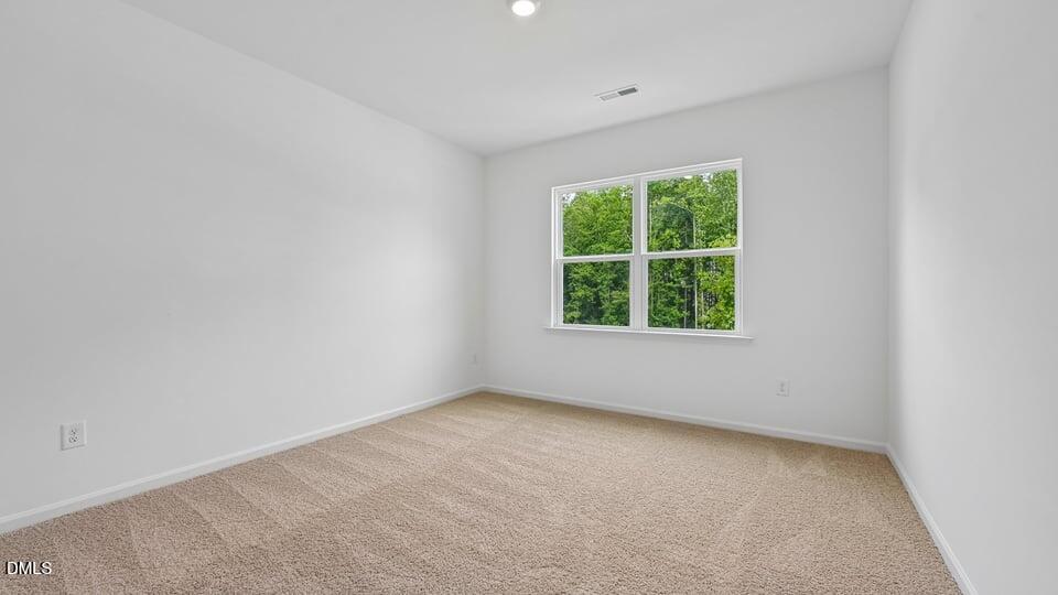 721 Sparkling Pear Drive Property Photo 28