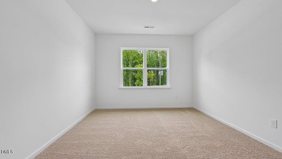 721 Sparkling Pear Drive Property Photo 29