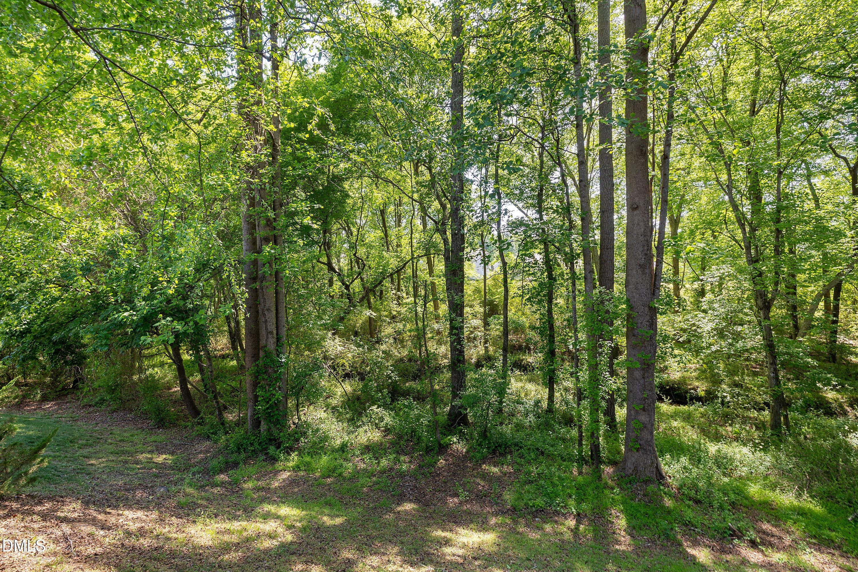 454 Stobhill Lane Property Photo 42