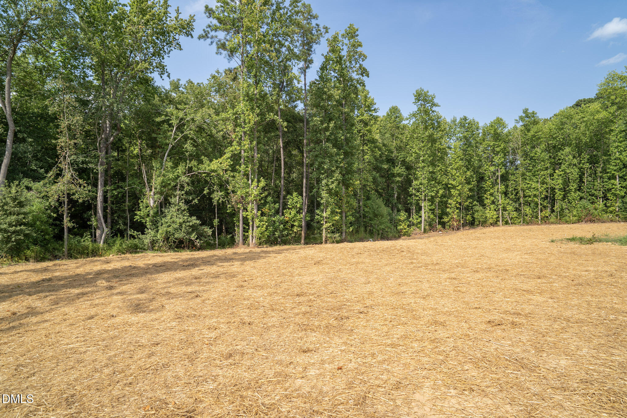 104 Stradshire Court Property Photo 7