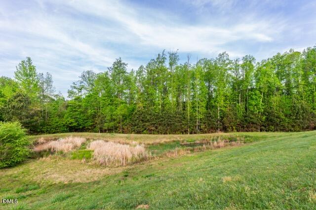 106 Pleasant Glen Lane Property Photo 26