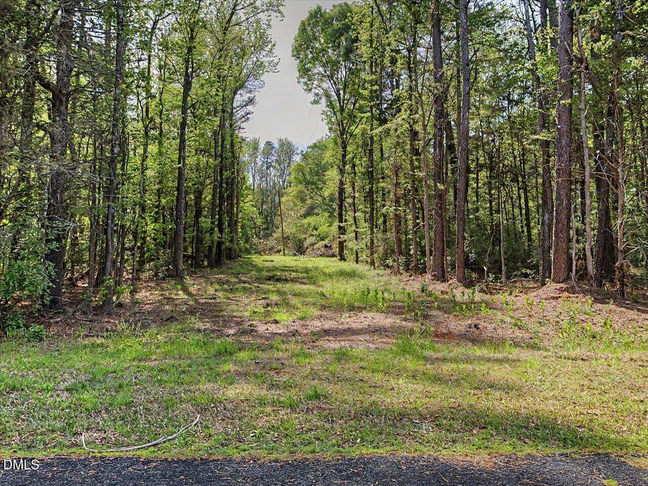 0 Lula Klass Road Property Photo 16