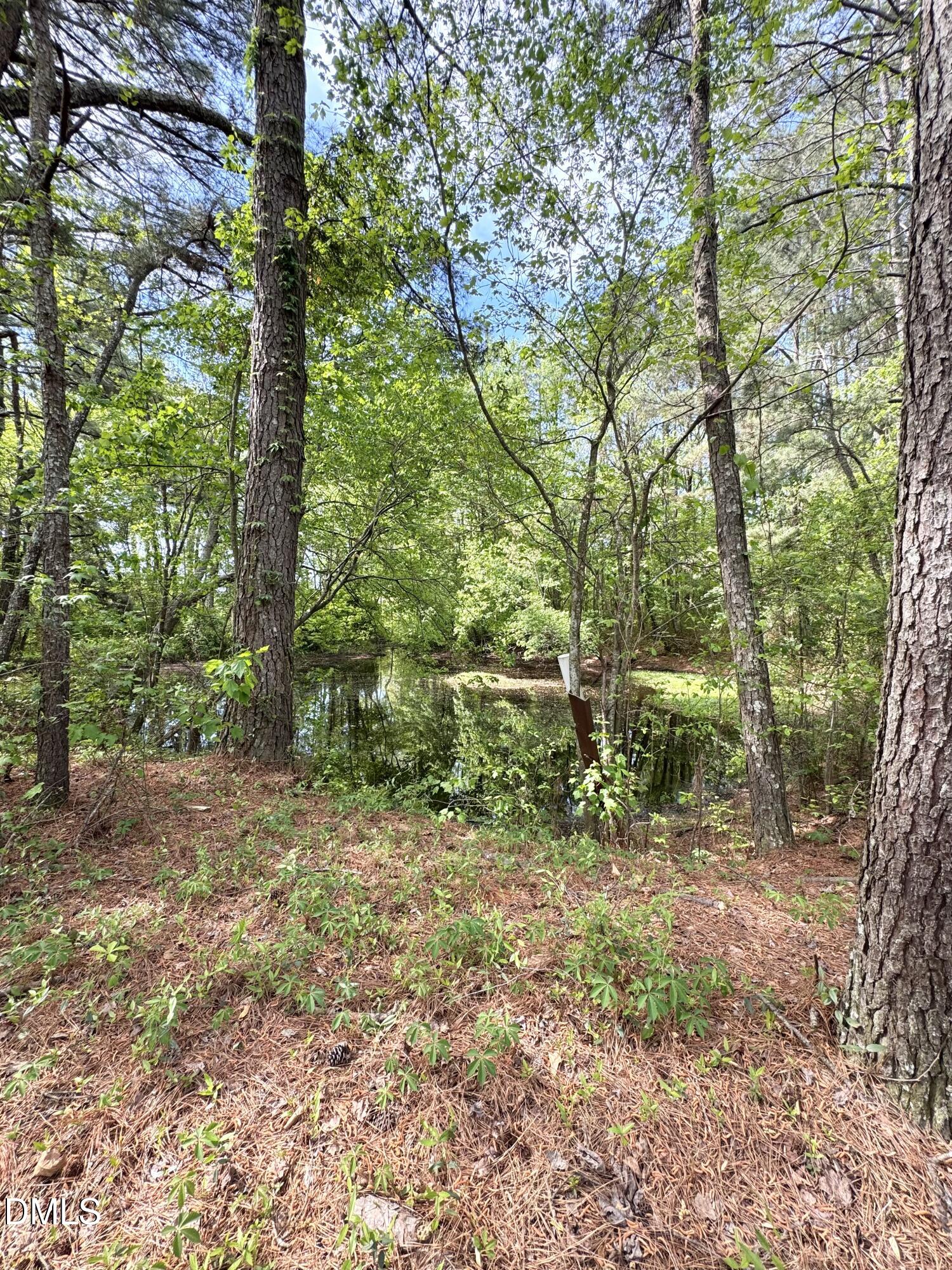 640 Tart Town Road Property Photo 73