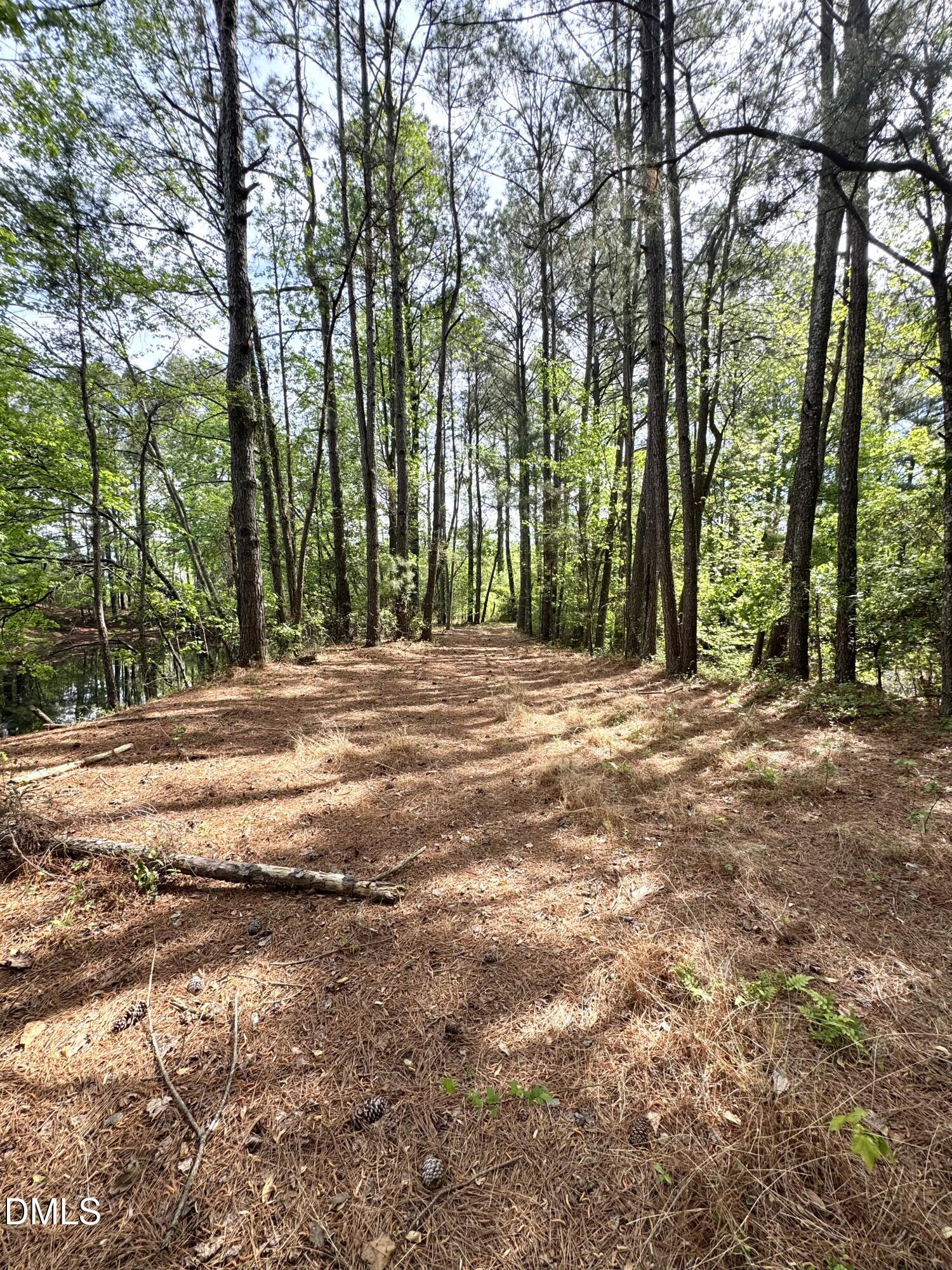 640 Tart Town Road Property Photo 74