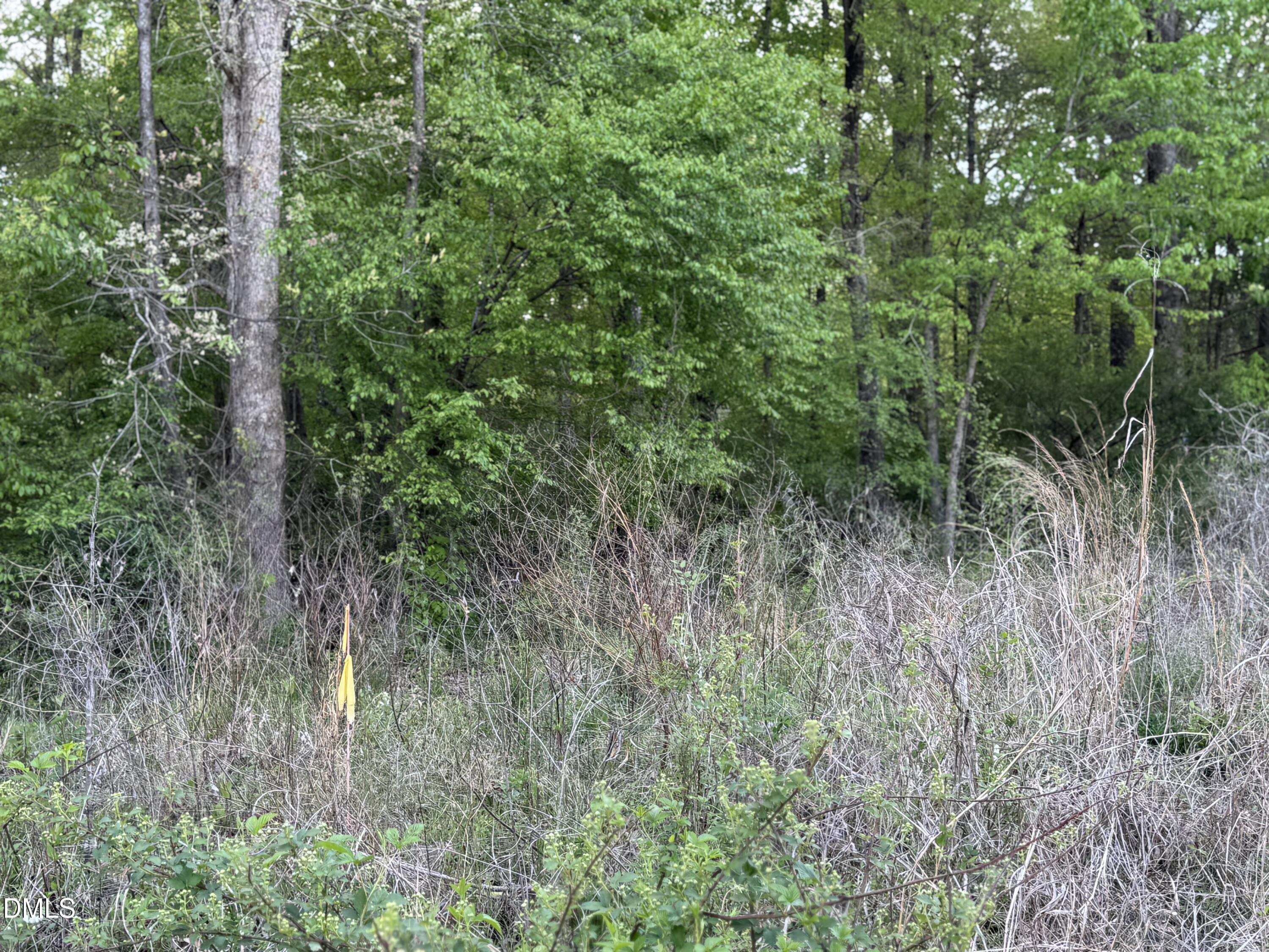 4222 Jeffries Road Property Photo 1