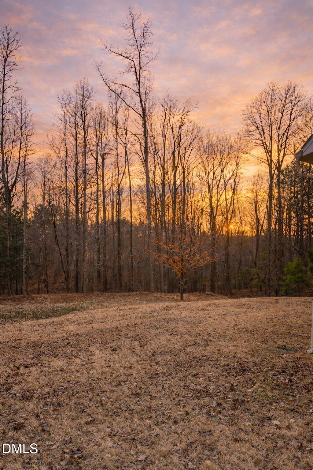 2024 Delphi Way Property Photo 5