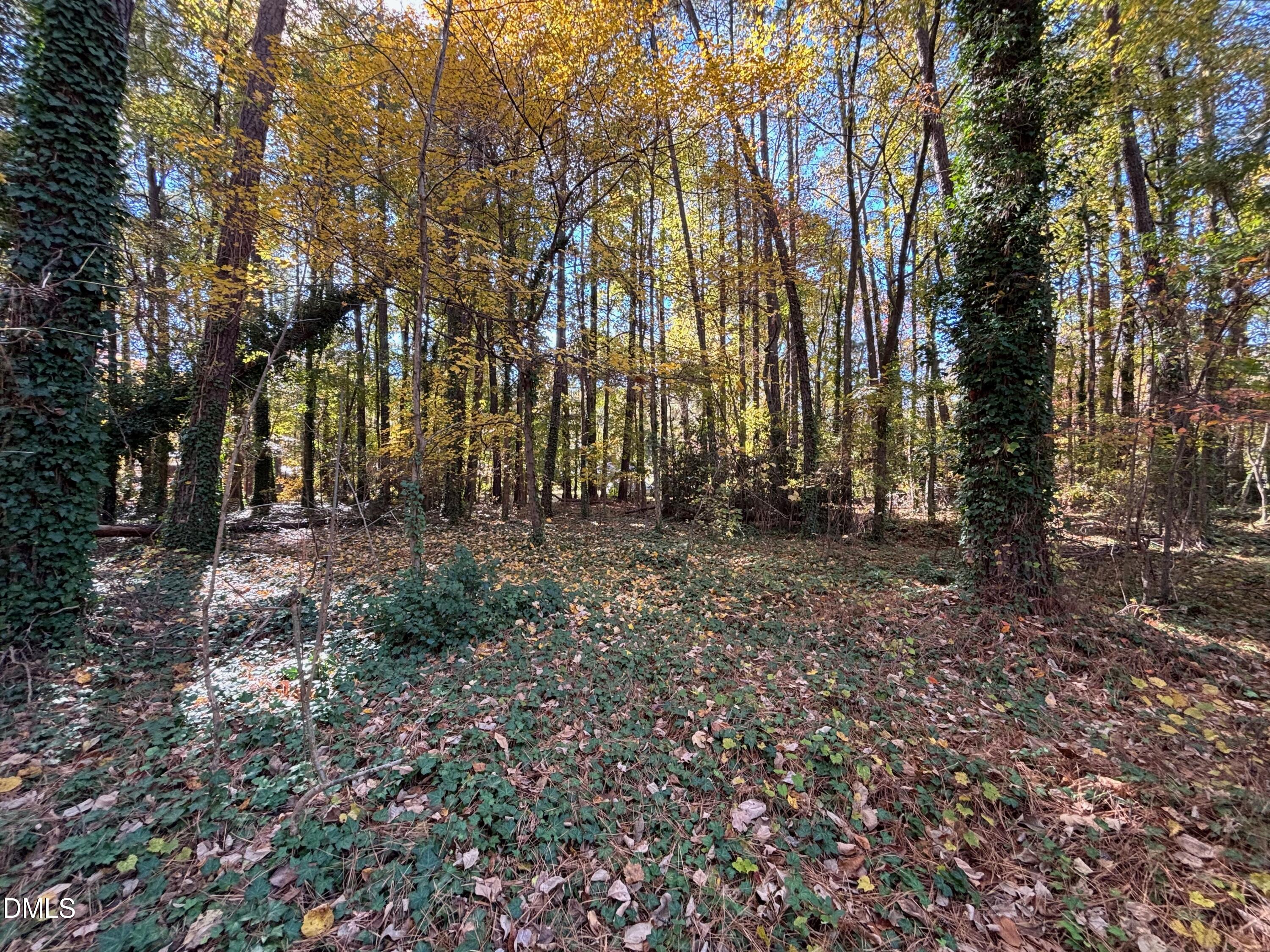 3216 Duke Homestead Road Property Photo 1