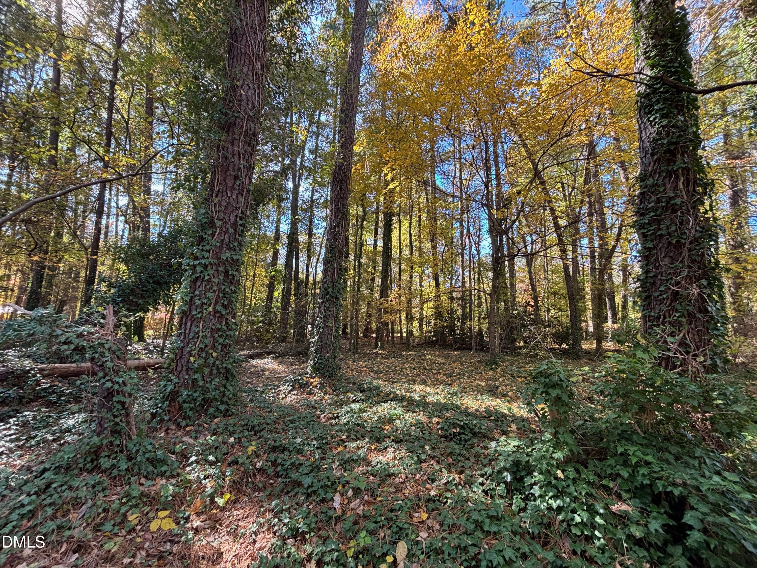 3216 Duke Homestead Road Property Photo 2