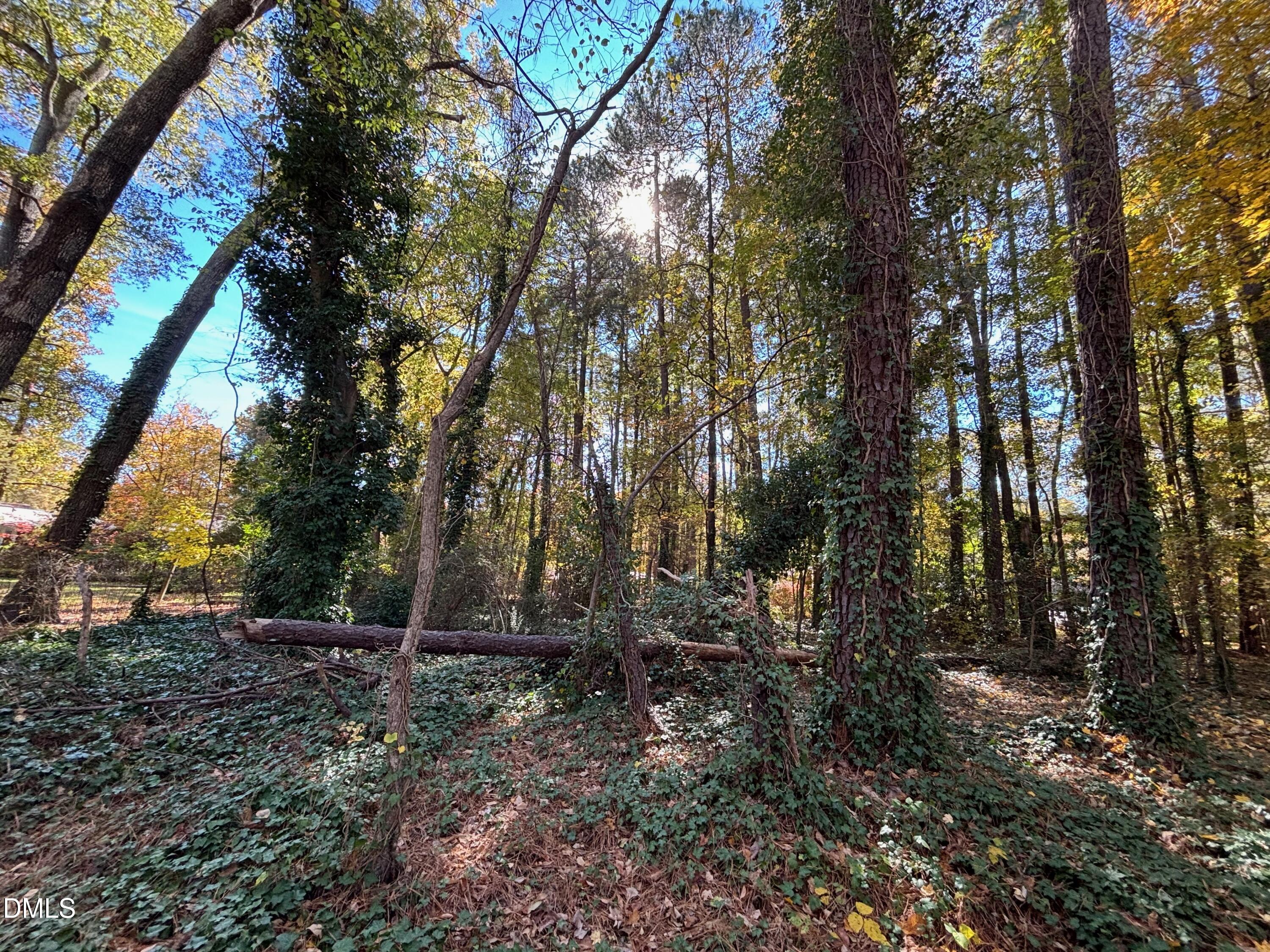 3216 Duke Homestead Road Property Photo 5