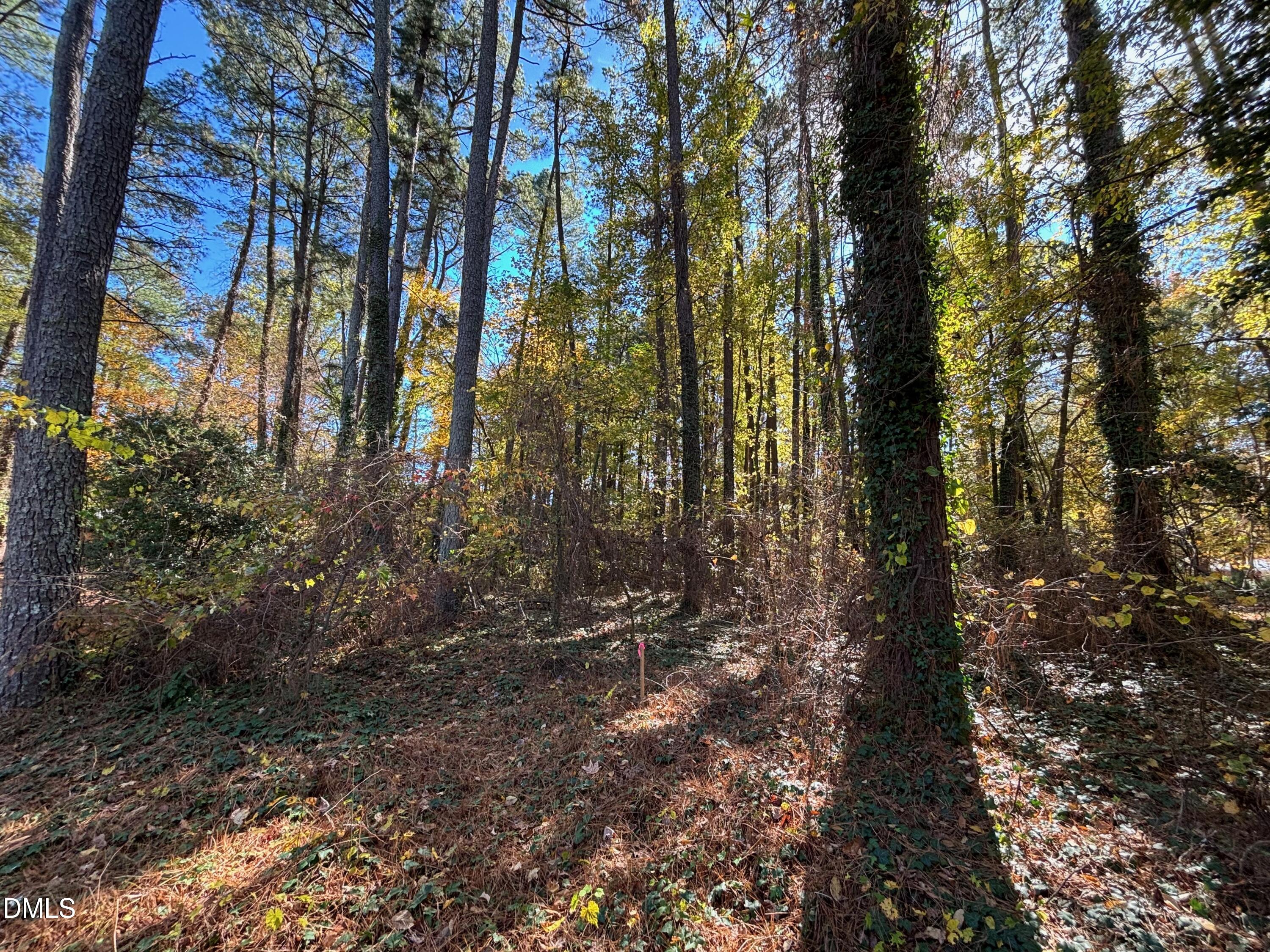 3216 Duke Homestead Road Property Photo 6