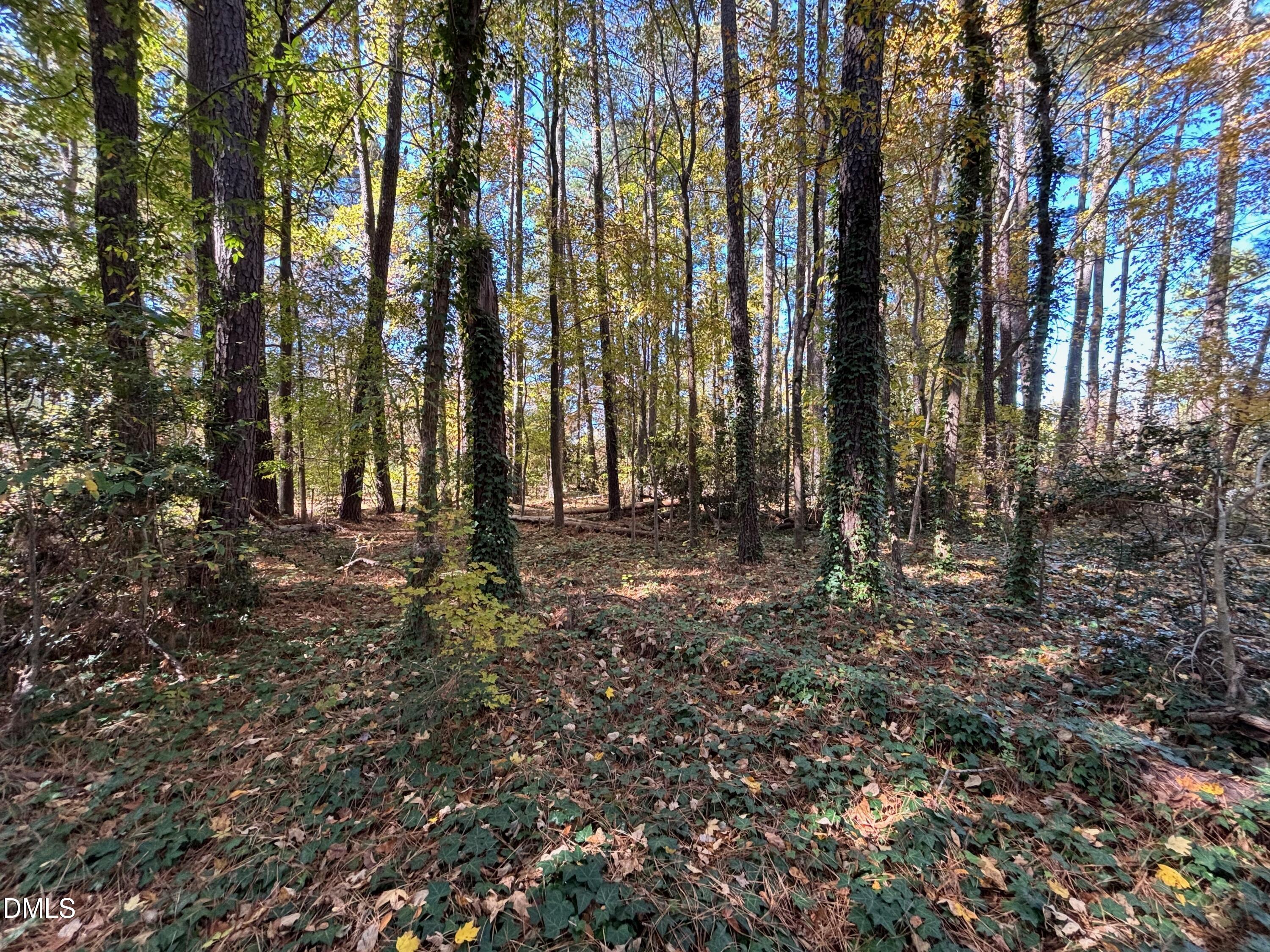 3216 Duke Homestead Road Property Photo 7