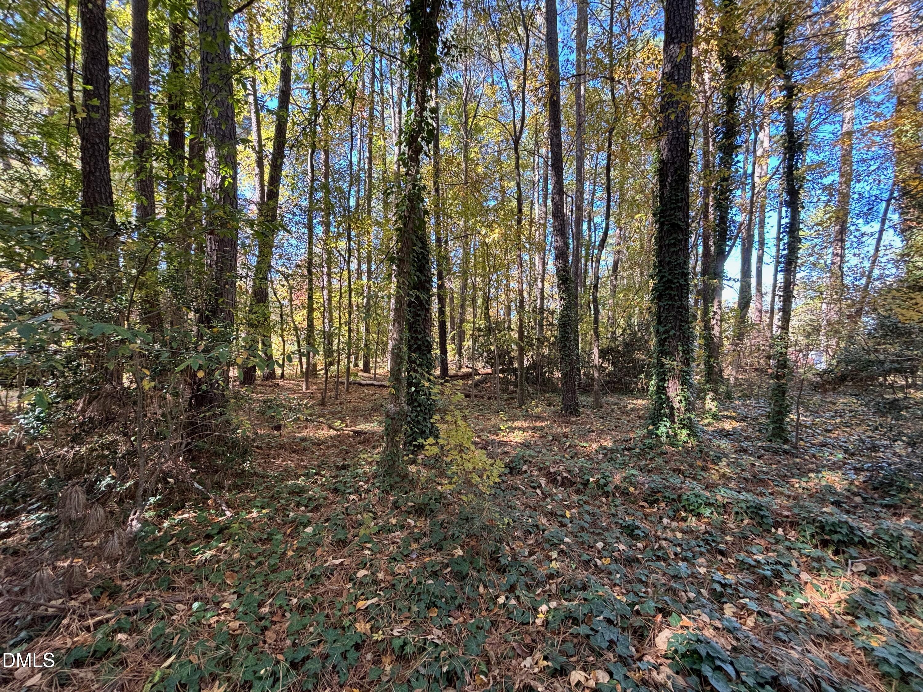 3216 Duke Homestead Road Property Photo 8