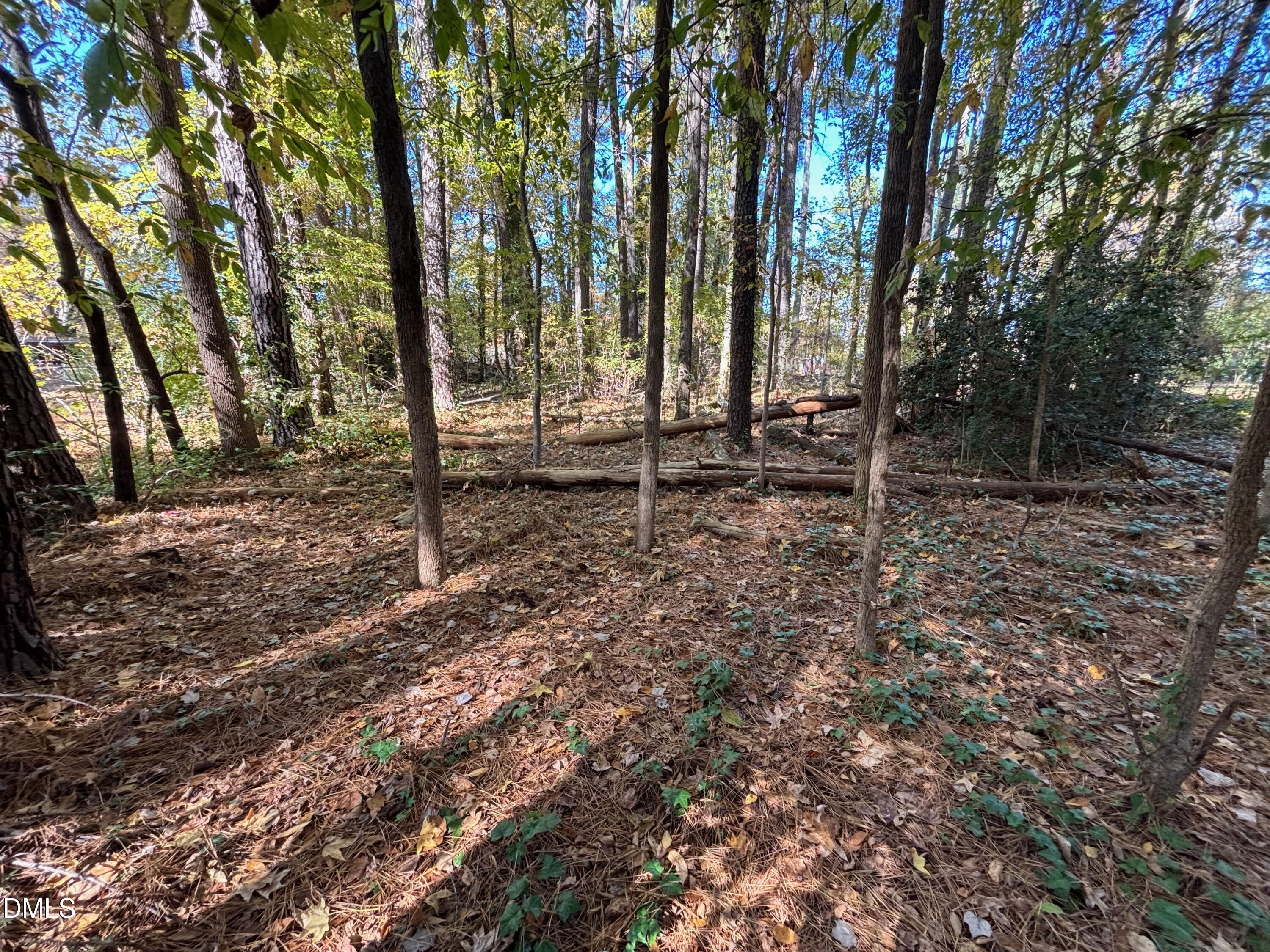 3216 Duke Homestead Road Property Photo 9