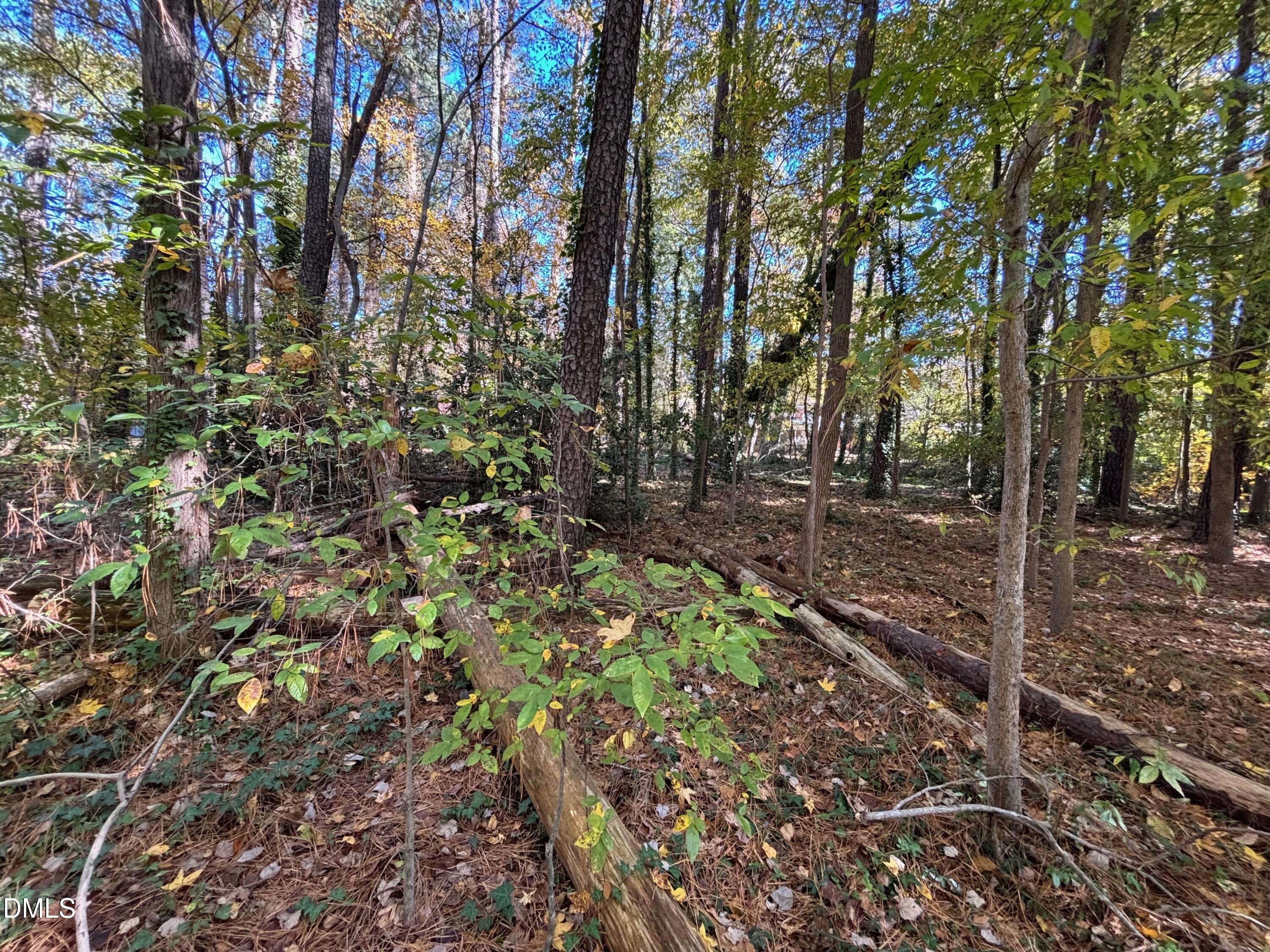 3216 Duke Homestead Road Property Photo 10