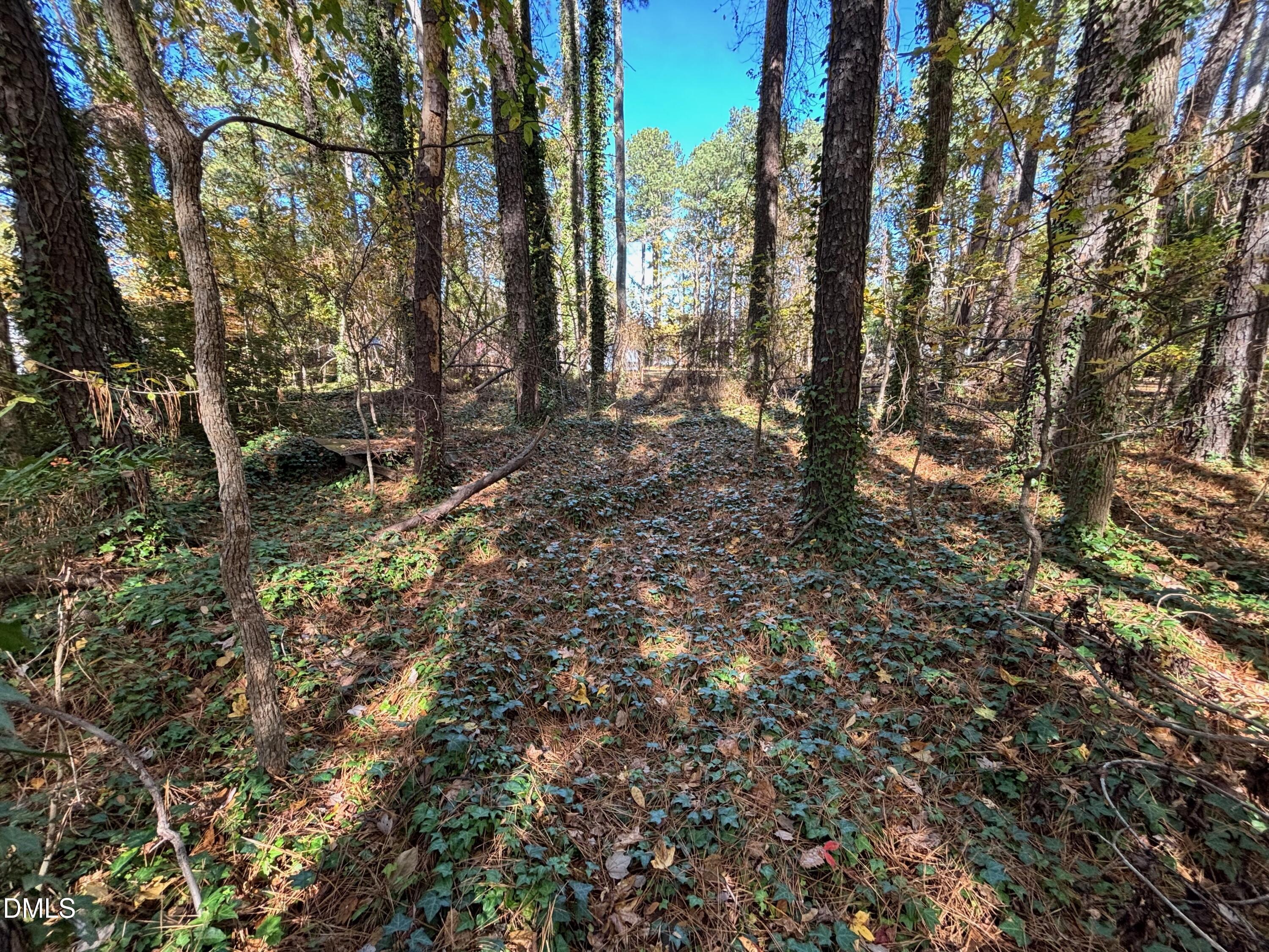3216 Duke Homestead Road Property Photo 11
