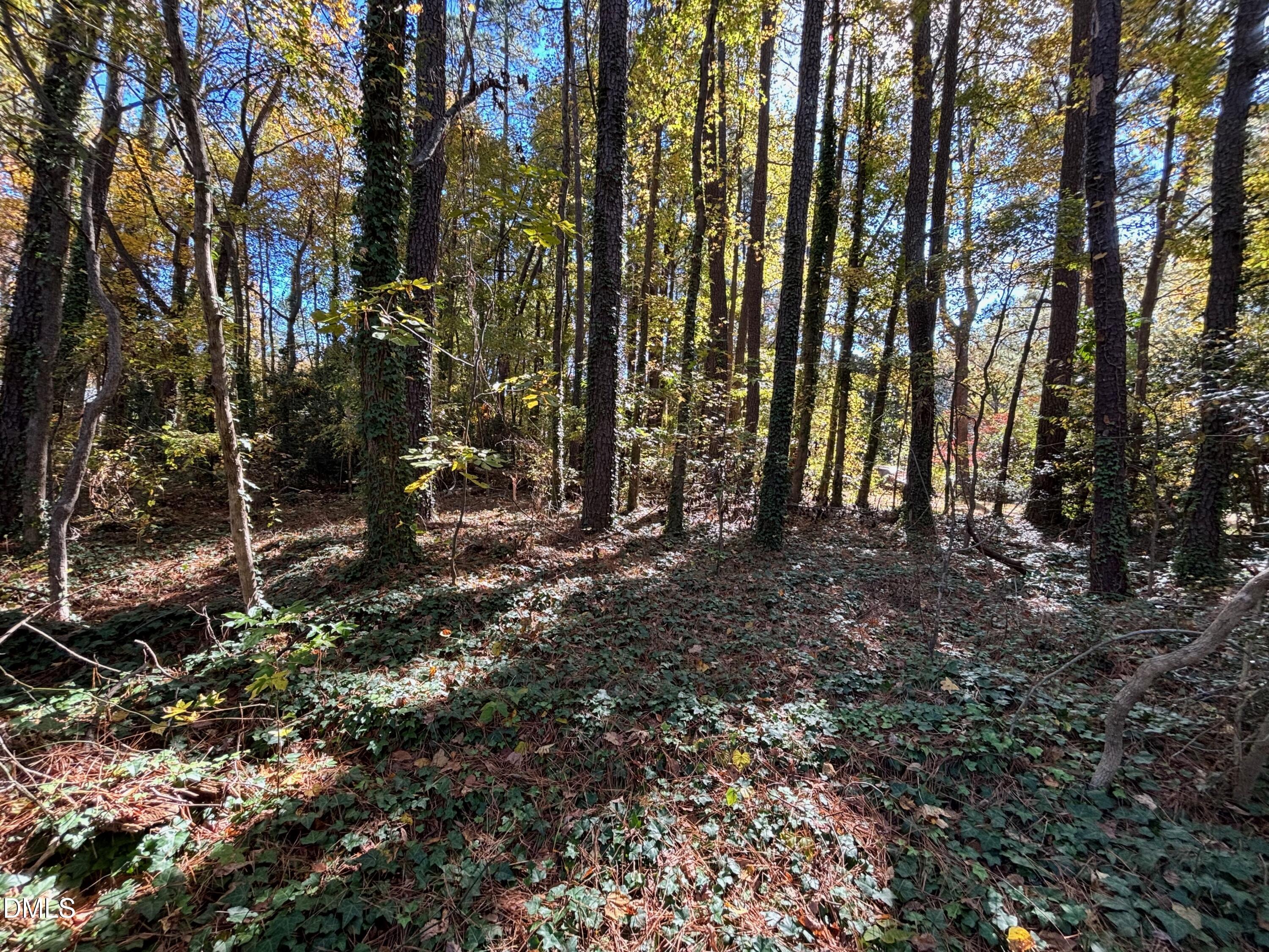 3216 Duke Homestead Road Property Photo 12