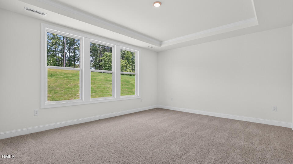 19 East Fire Opal Court Property Photo 21