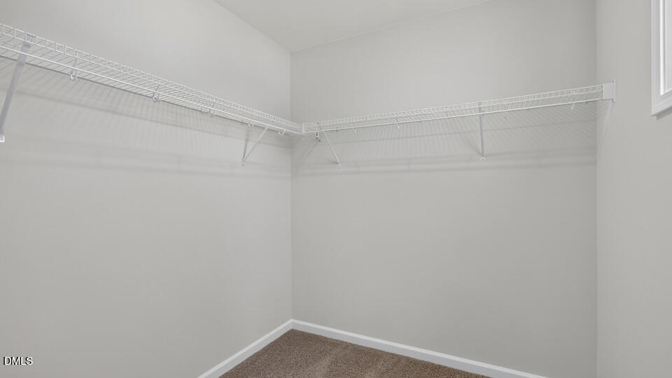 19 East Fire Opal Court Property Photo 31
